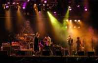 photo de Mad Caddies